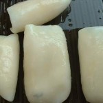 Cuttlefish Fillet B
