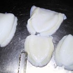 Cuttlefish Fillet Wing