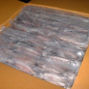 frozen-loligo-box