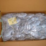 Japanese butterfish pack box