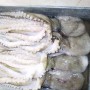 land-frozen-poulp-squid-2