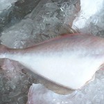 Leatherjacket (Gutted, Headless)