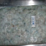 Sea Frozen Shrimp