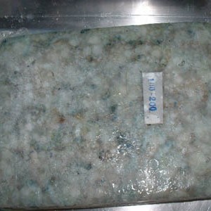 Sea Frozen Shrimp