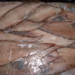 Sole fish big scale